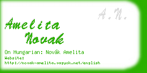 amelita novak business card